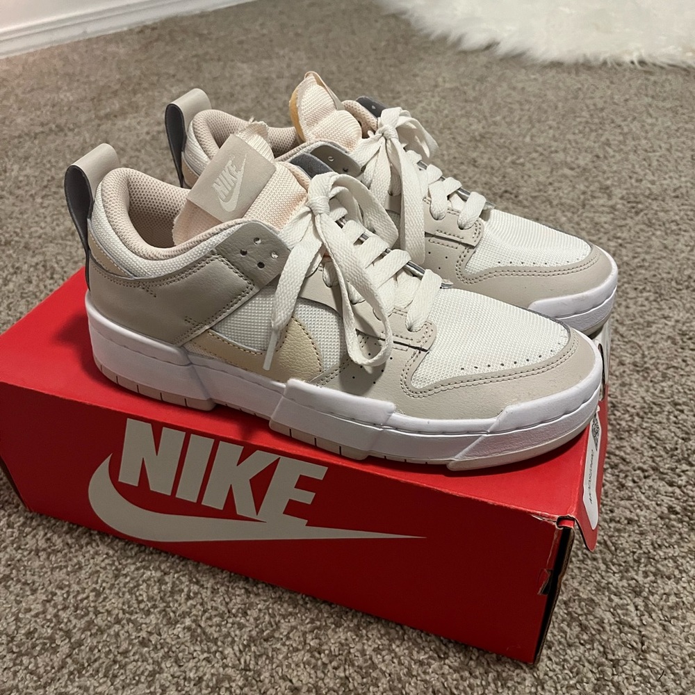 Nike dunk disrupt